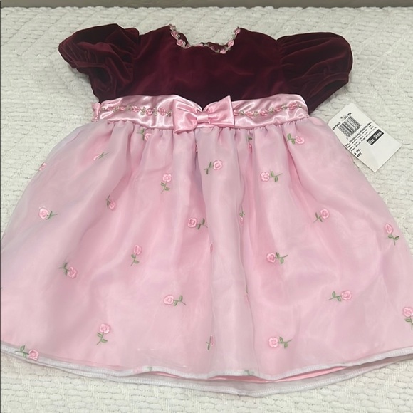 b.t. kids Other - Vintage Dress Baby Toddler  Pink Maroon Roses Velvet Tulle Girl Formal Easter